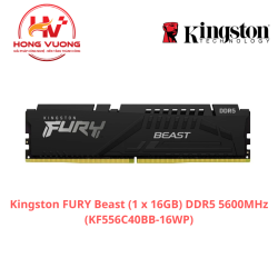RAM Kingston Fury Beast 16GB DDR5 5600MHz CL40 (KF556C40BB-16WP) – Hiệu năng cao, hỗ trợ XMP
